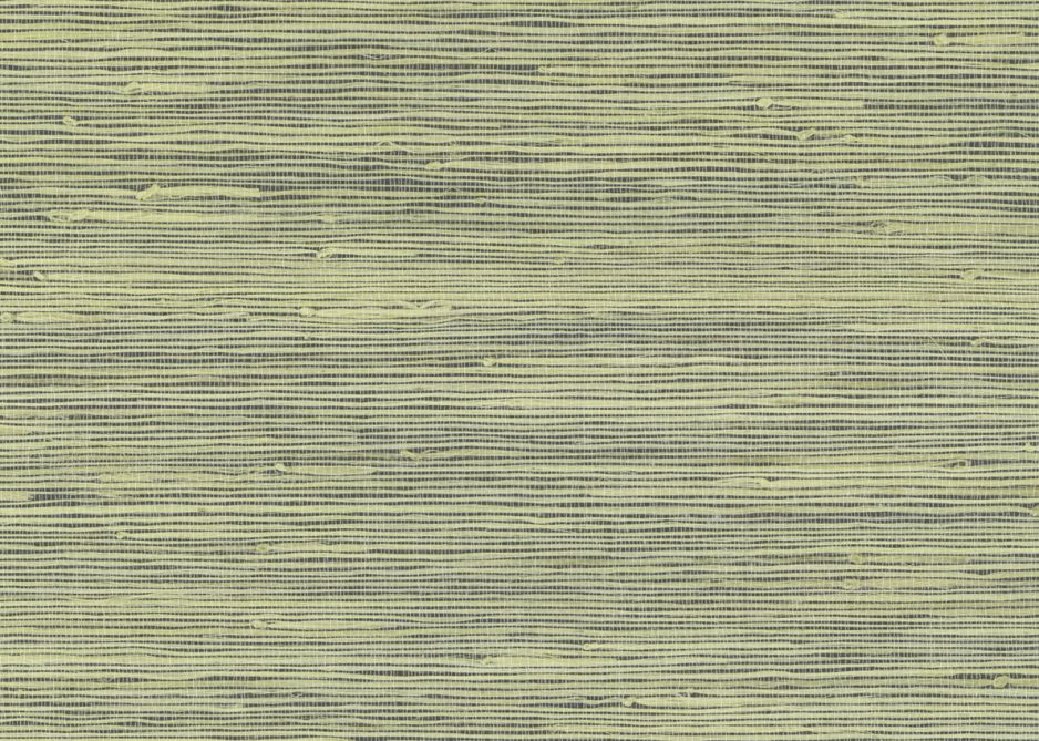 JUTE