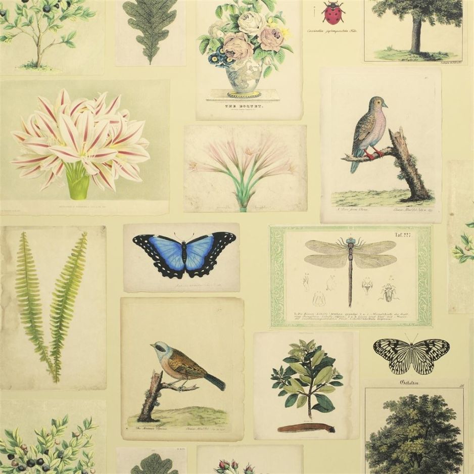 Flora and fauna - Yellow Wallpaper