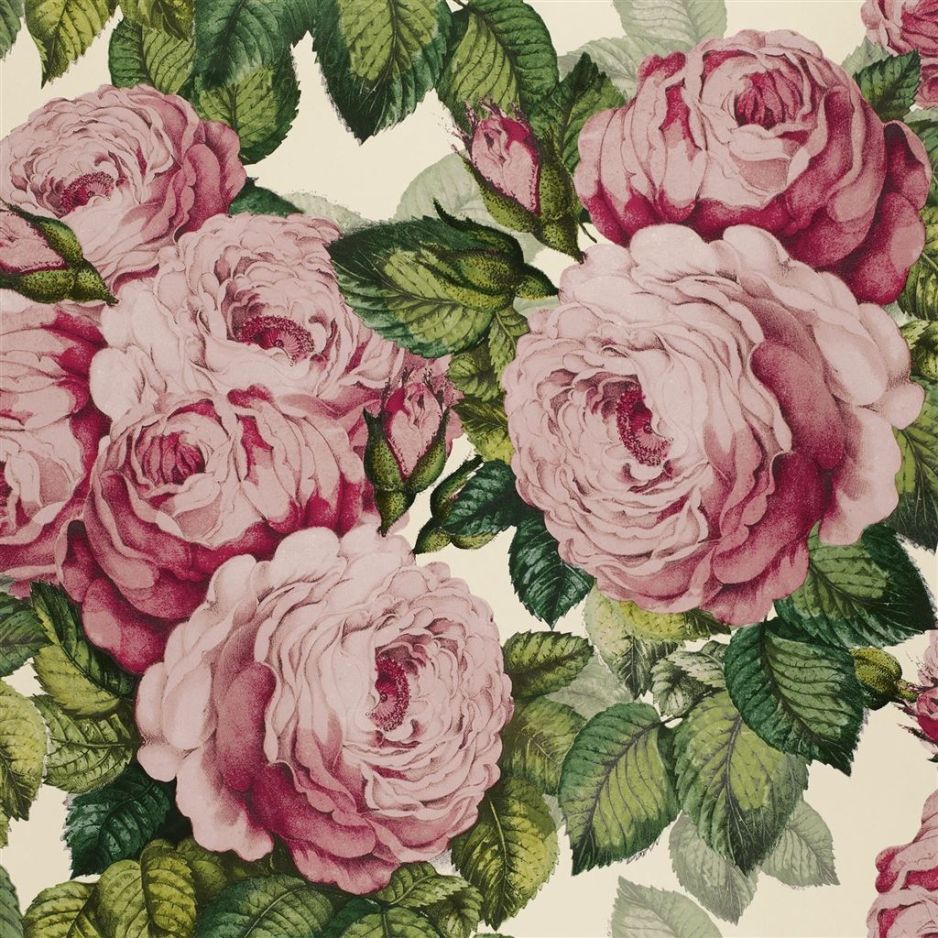 The rose