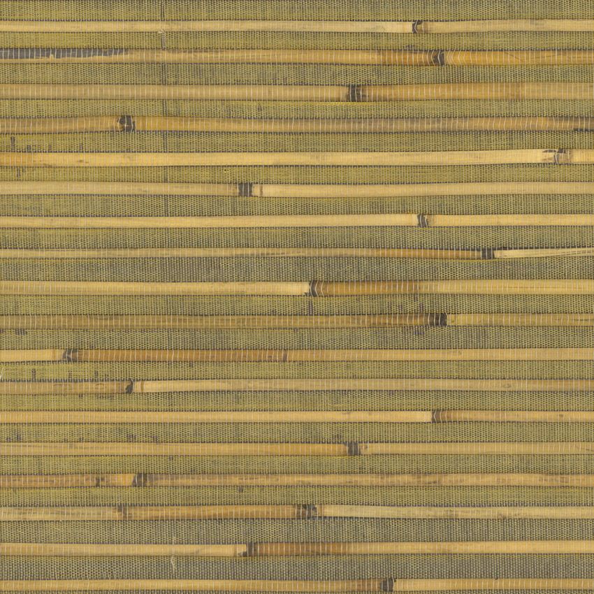 BAMBOO