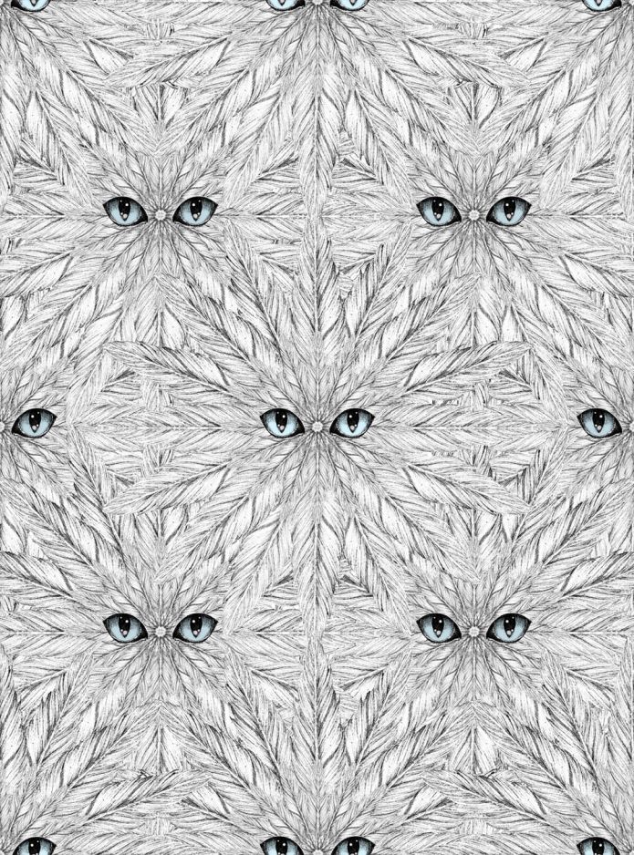 Peeping Feathers