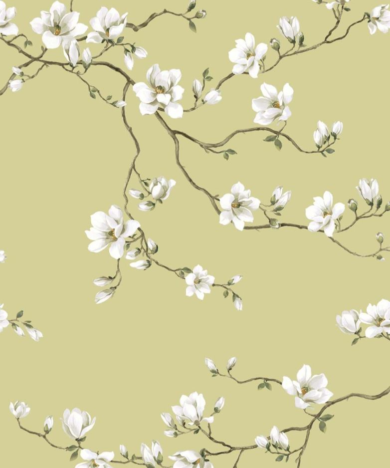 MOONLACE MAGNOLIA
