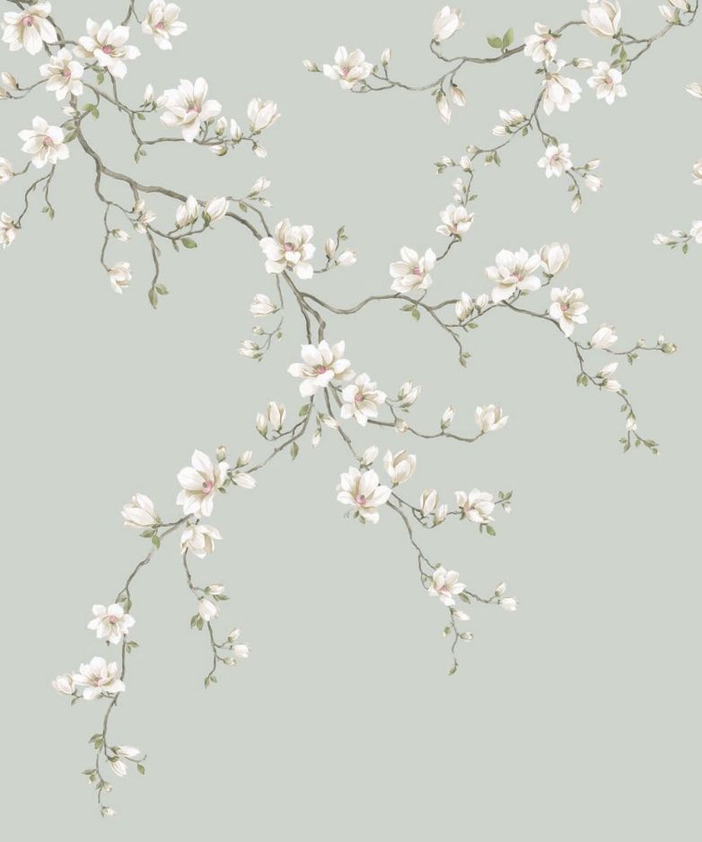 MOONLACE MAGNOLIA