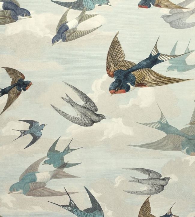Chimney Swallows