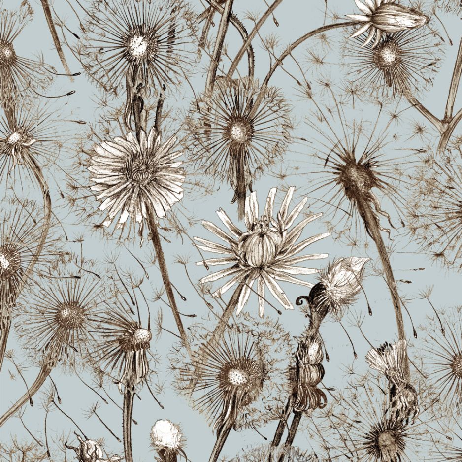 Dandelions