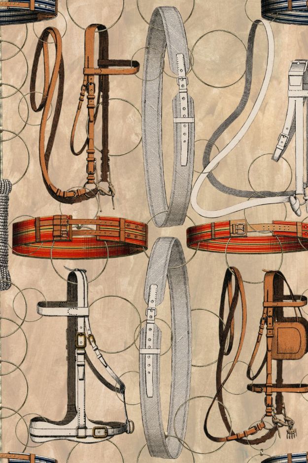 EQUESTRIAN EQUIPMENT
