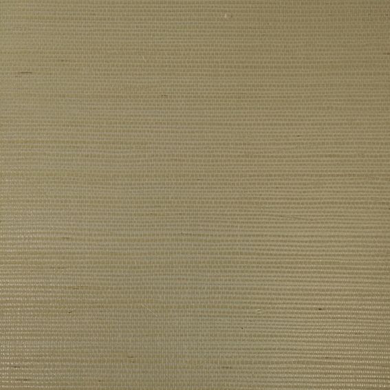 RAFIA PLAIN