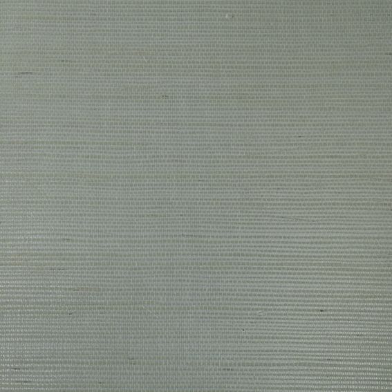 RAFIA PLAIN