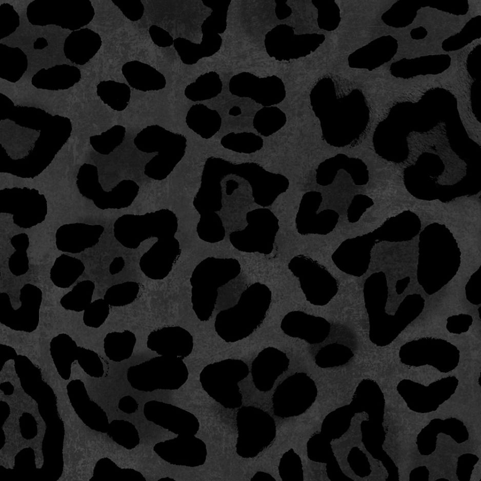 JAGUAR SPOT NOIR