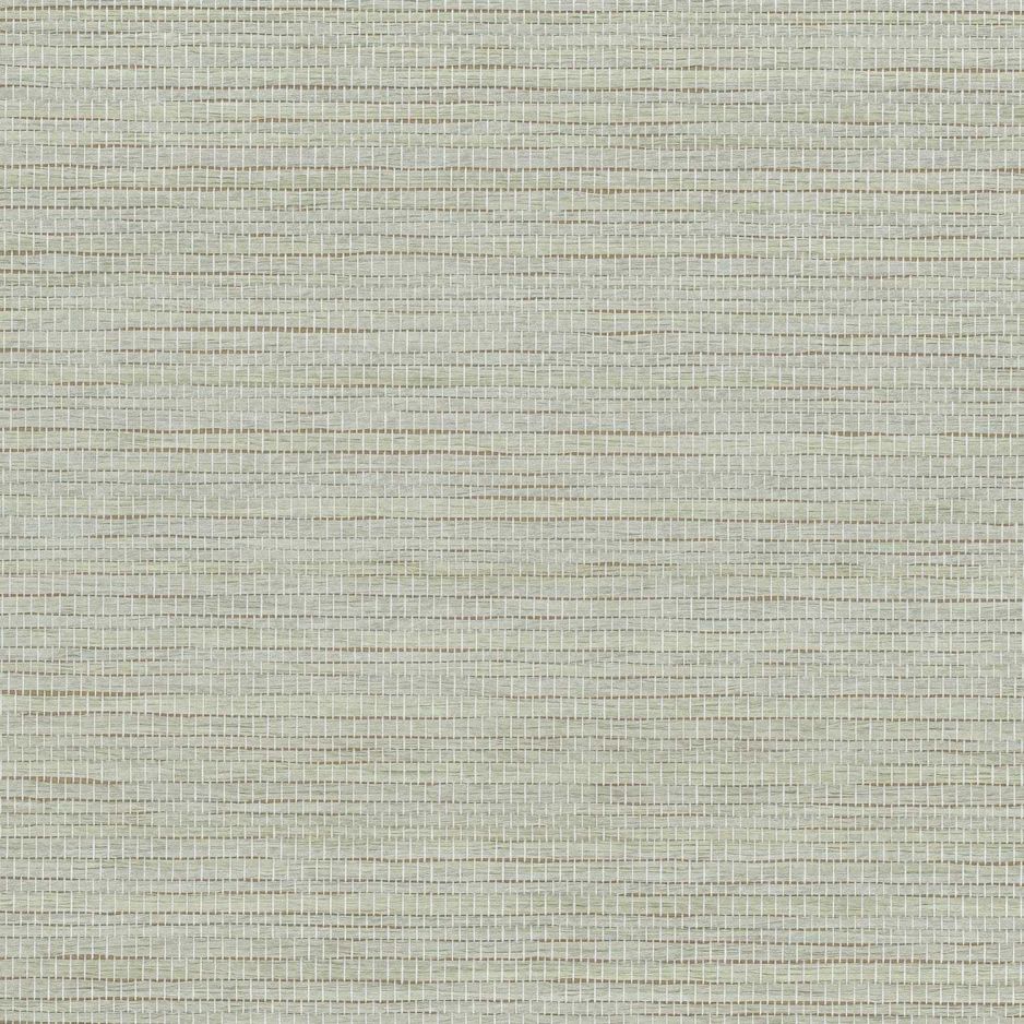 Seagrass