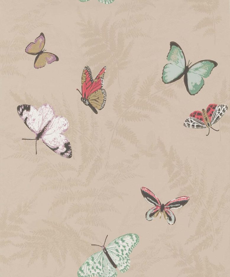 Farfalla
