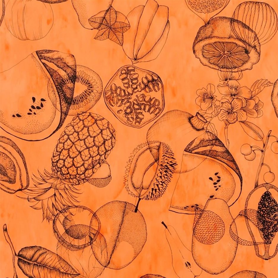 Agua Parati