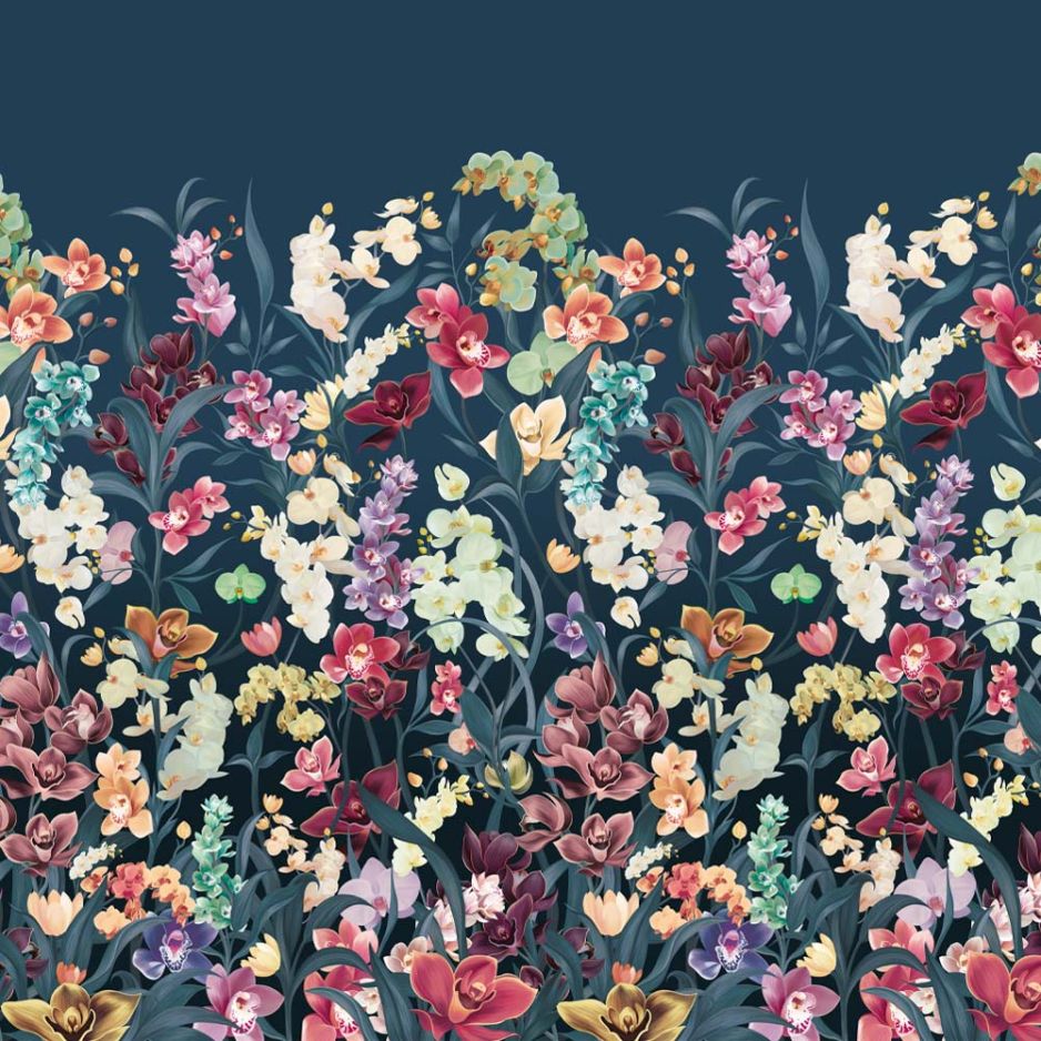 Wild Orchids