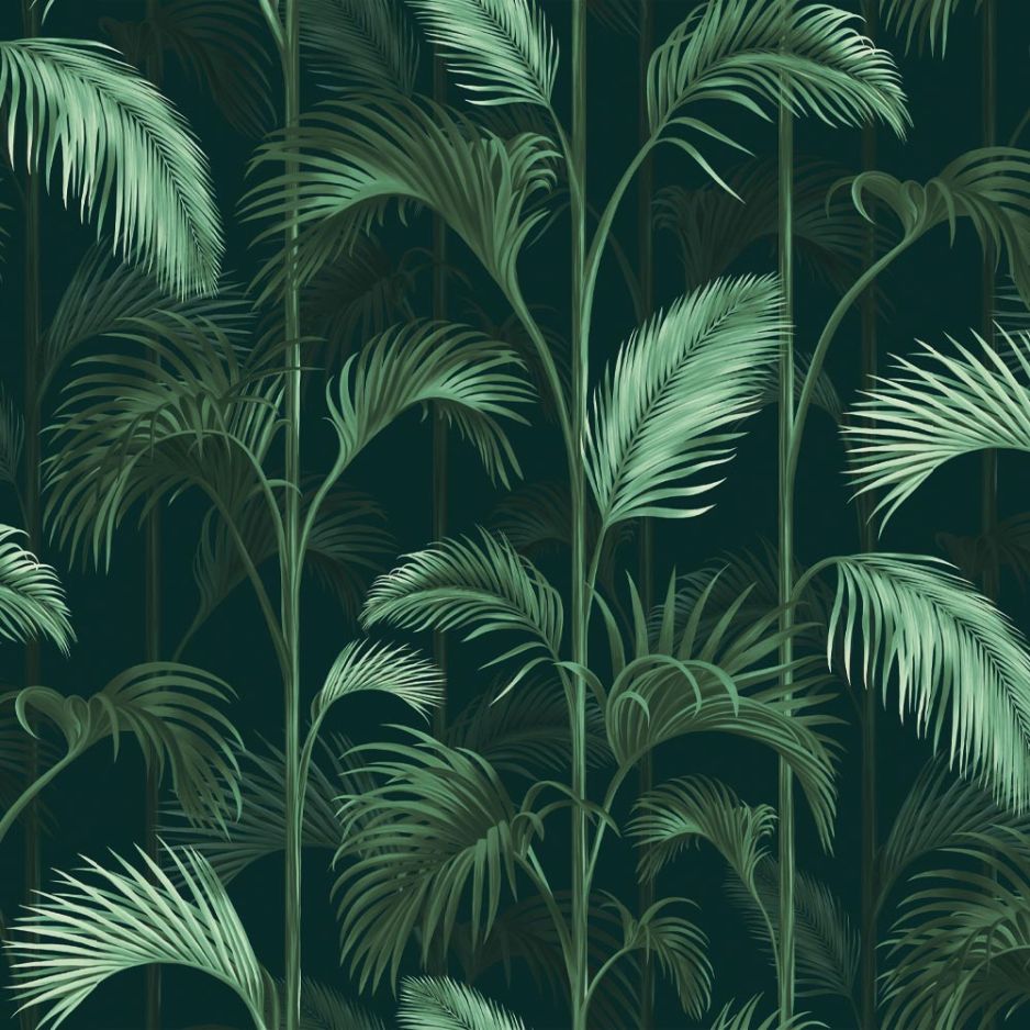 Royal Palm