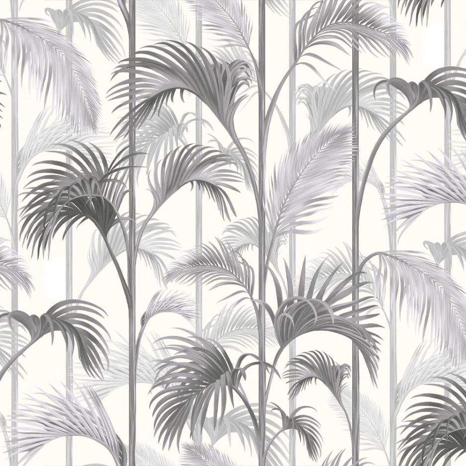 Royal Palm