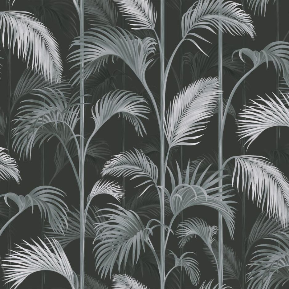 Royal Palm