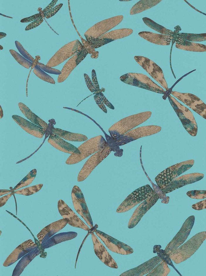 Dragonfly Dance