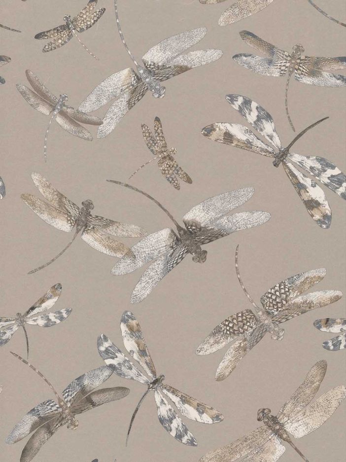 Dragonfly Dance