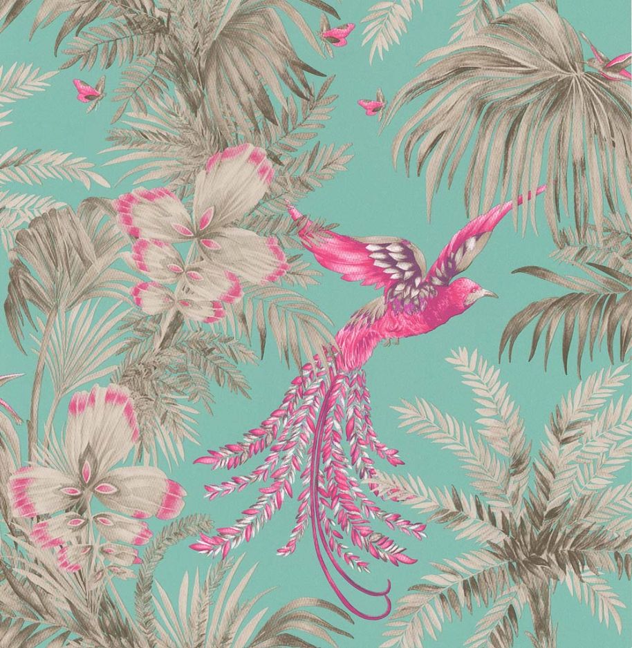 Bird of Paradise