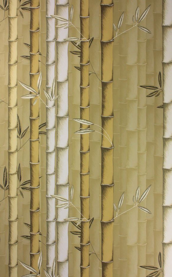 Bamboo