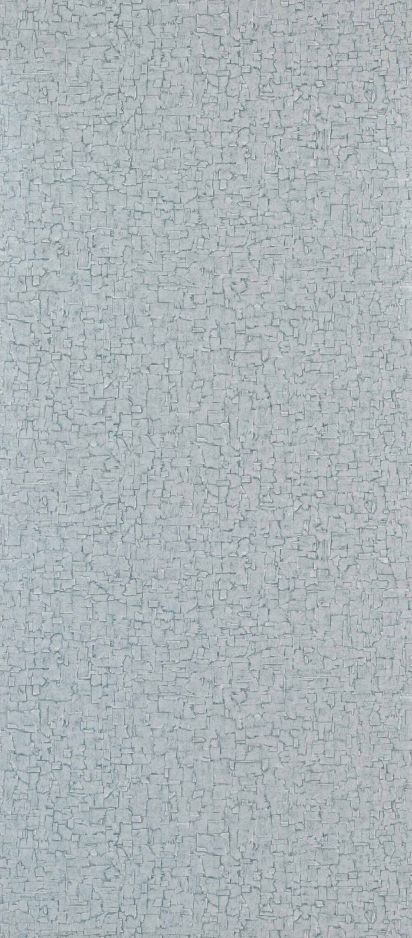 Cambium