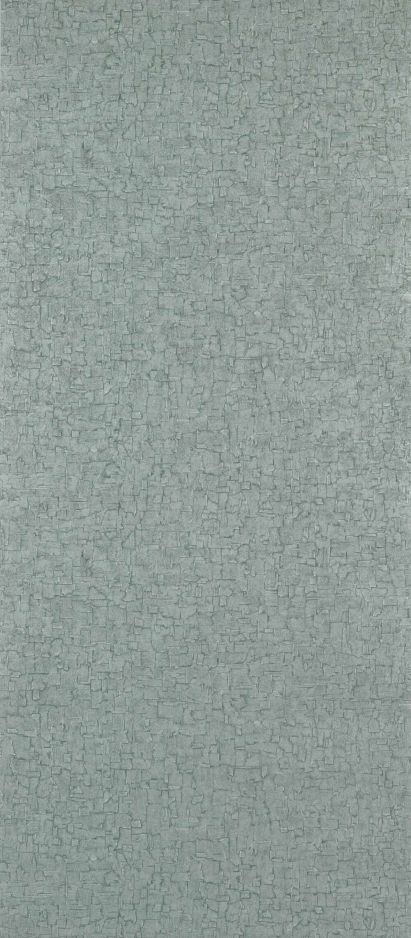 Cambium