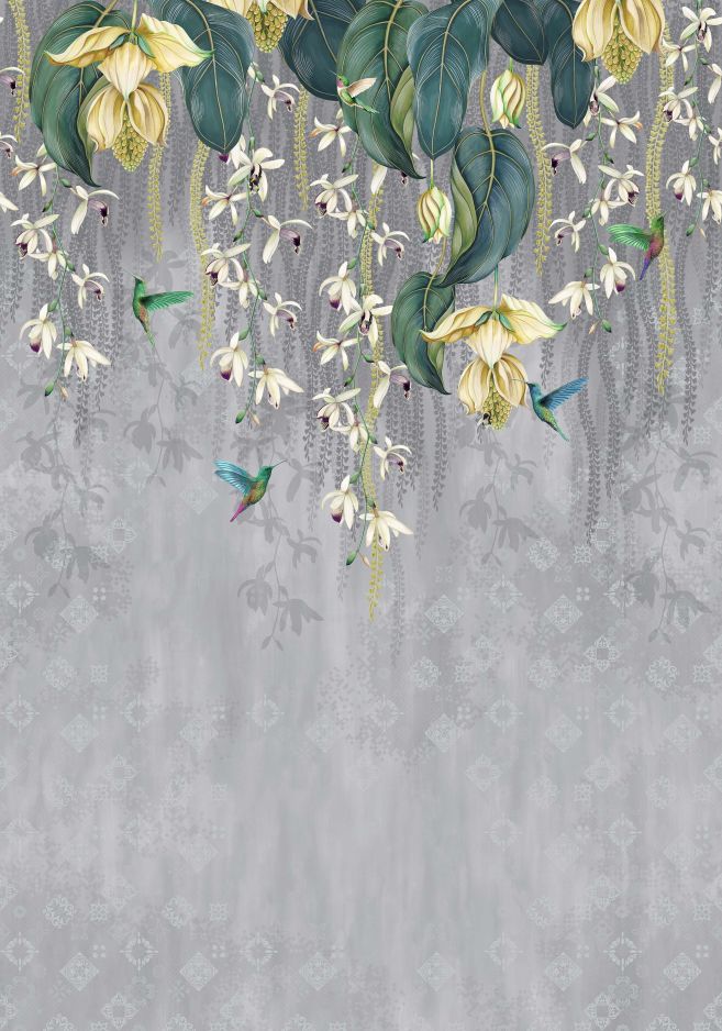 Trailing Orchid