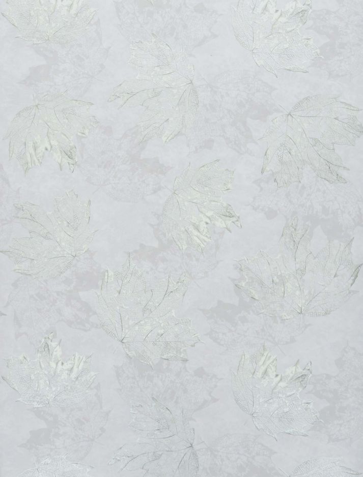 Sycamore