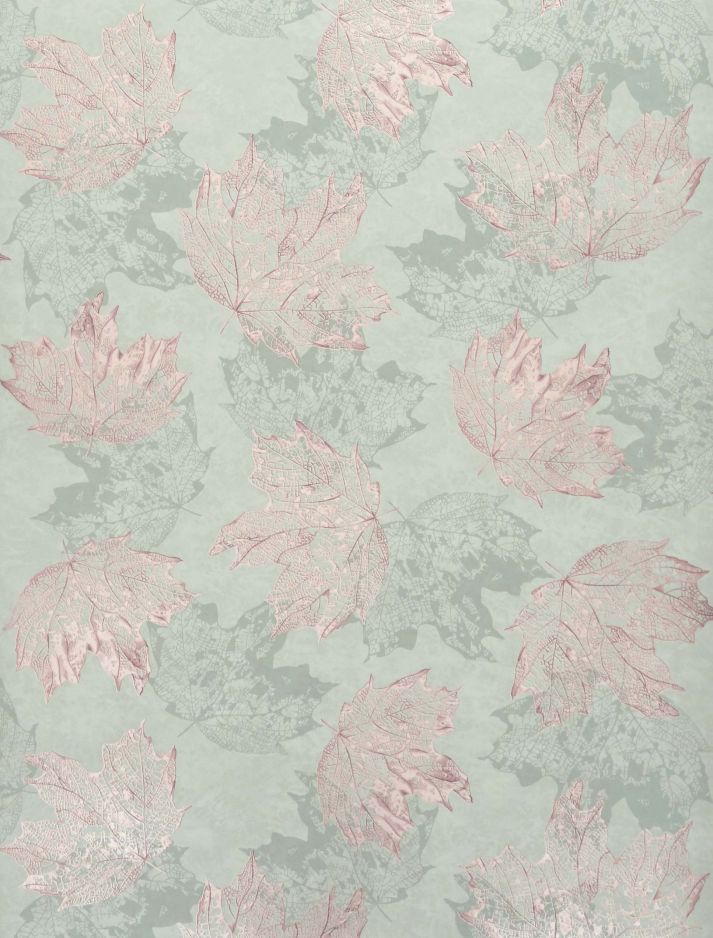 Sycamore
