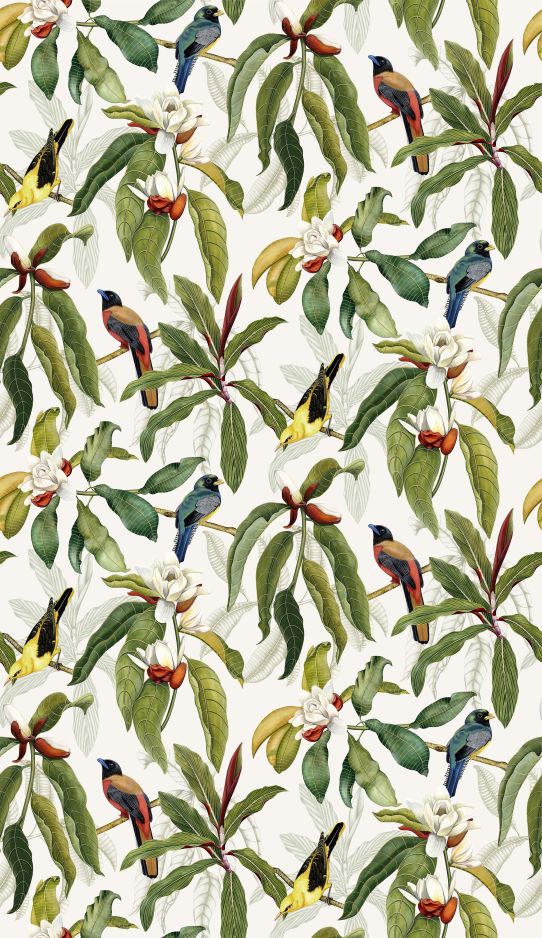 Michelia