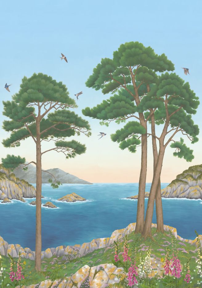 Coastline