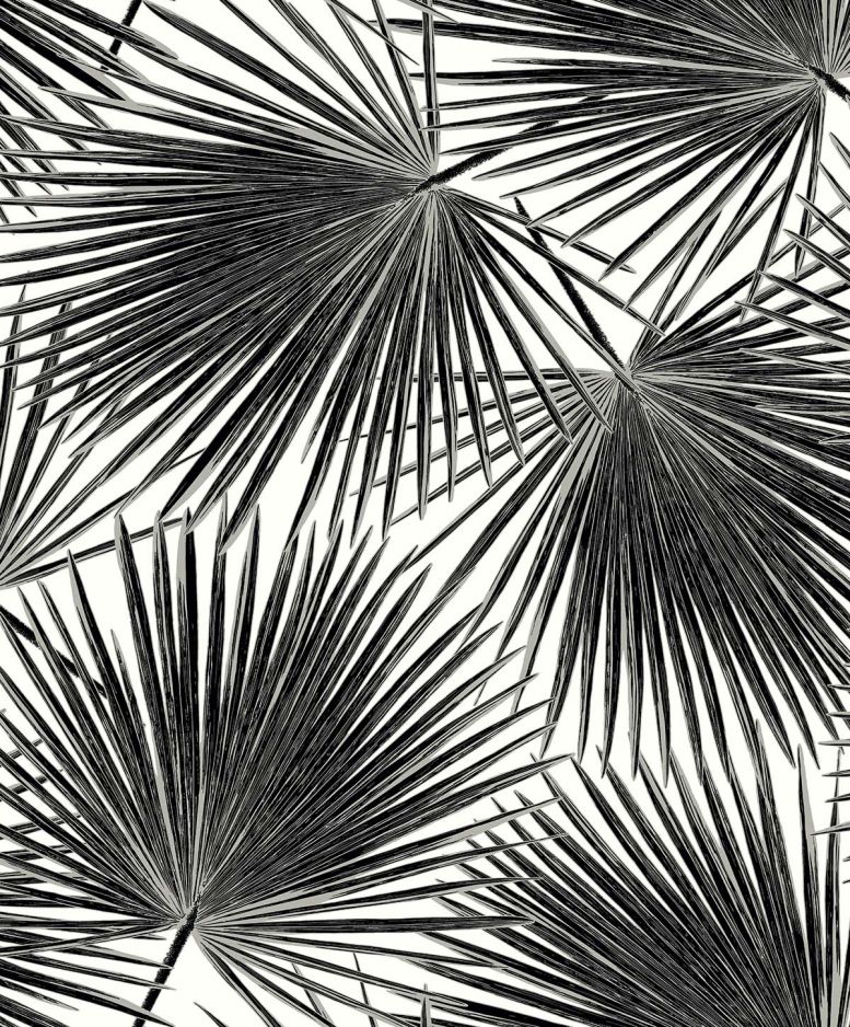 PALM