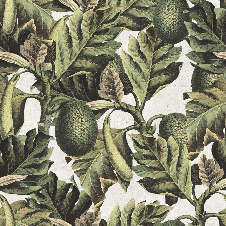 Exotic Fruit