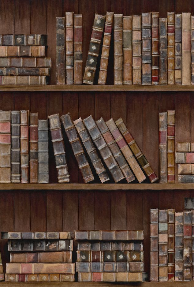 Book Shelves
