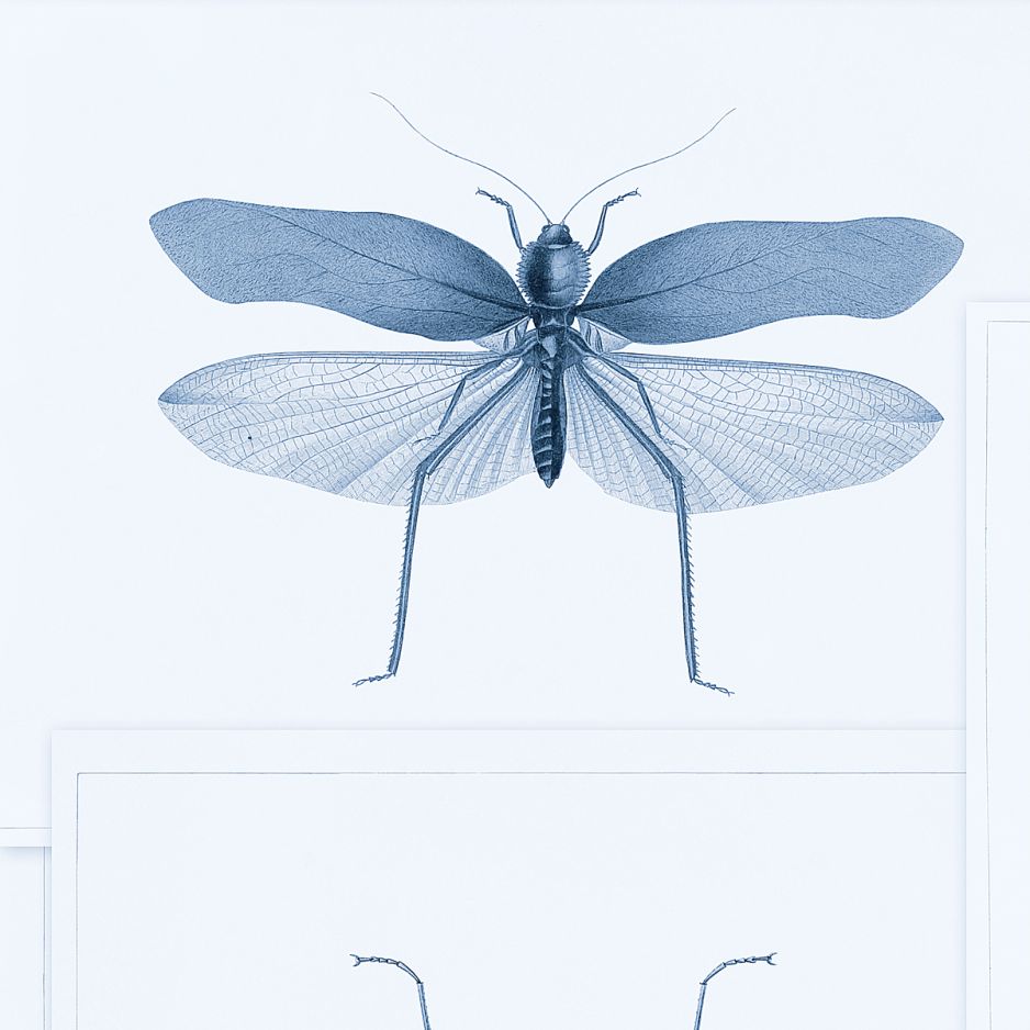 Entomology