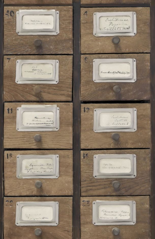 Apothecary