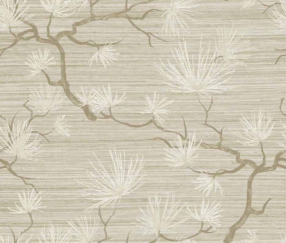 Shades of White Savannah