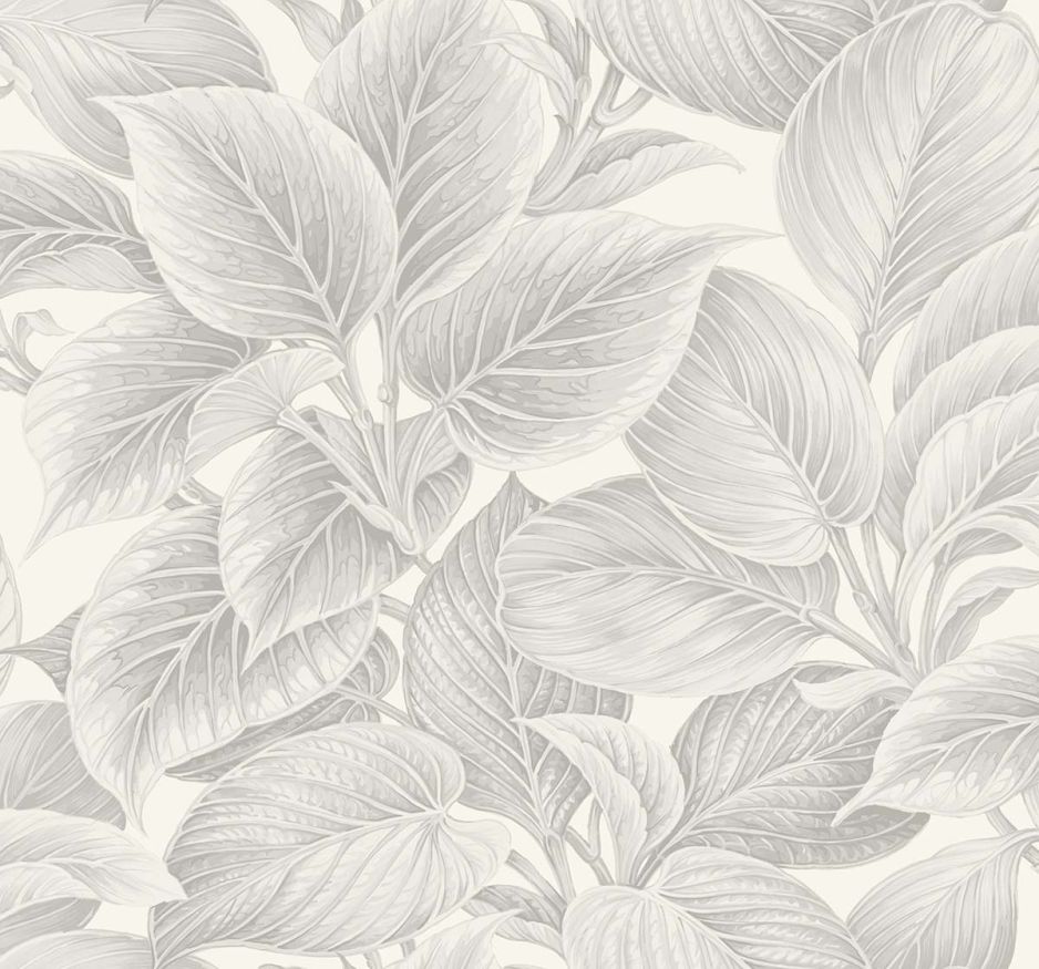 Shades of White Calla
