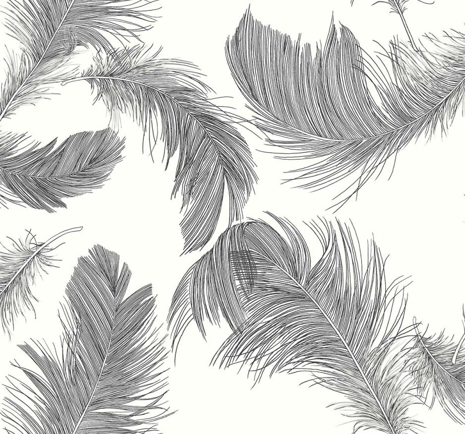Shades of White Feather