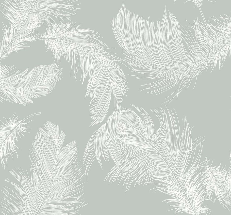 Shades of White Feather