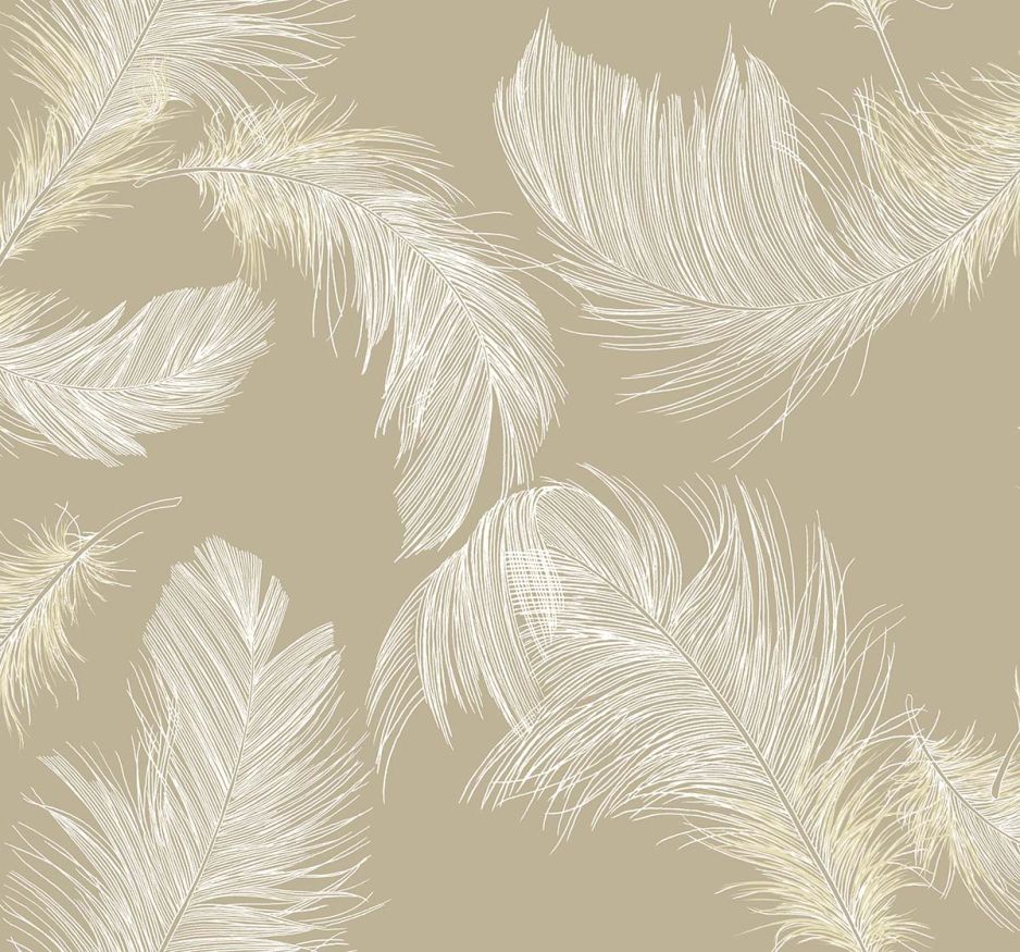 Shades of White Feather