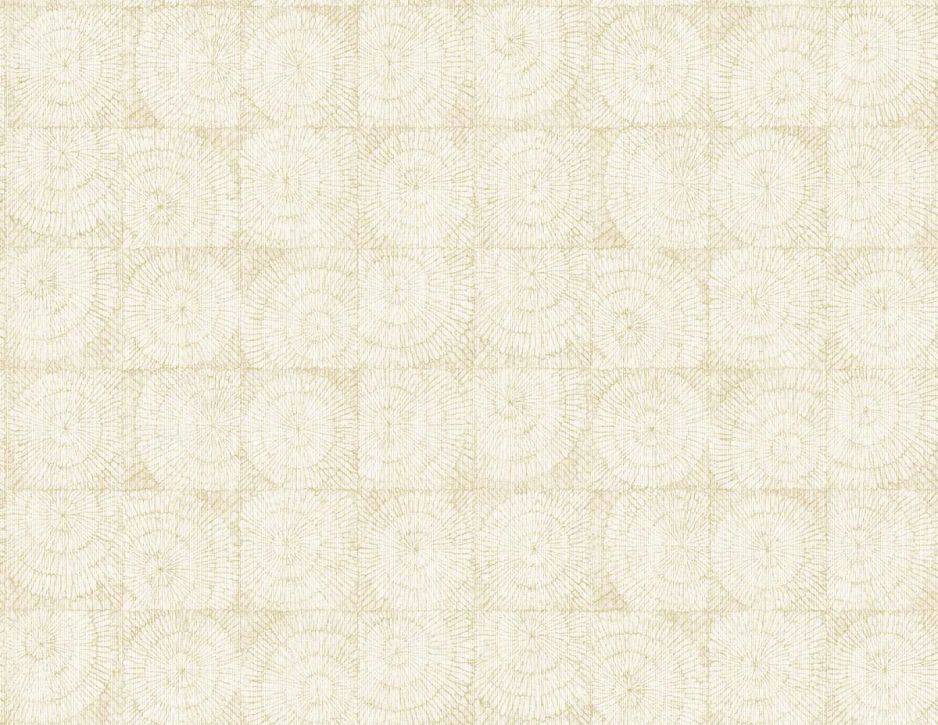 Shades of White Coral