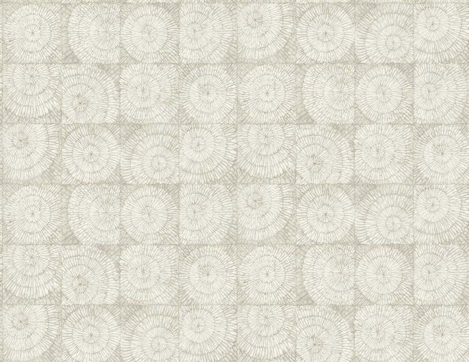 Shades of White Coral