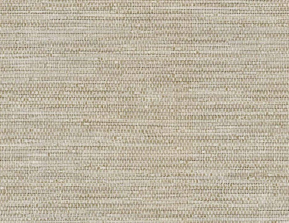 Shades of White Forever