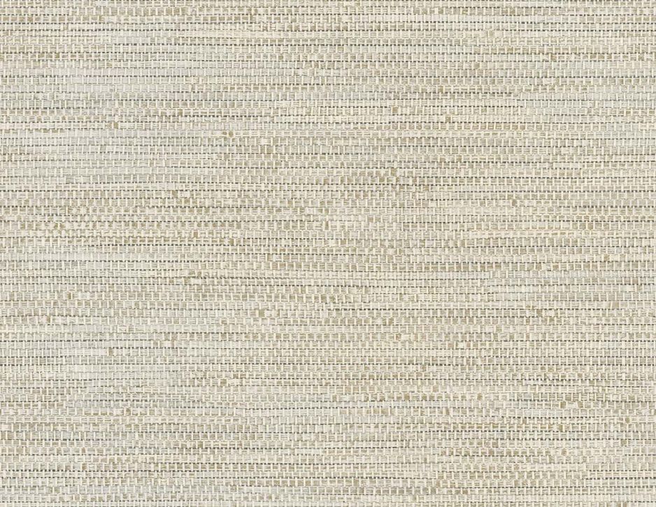 Shades of White Forever